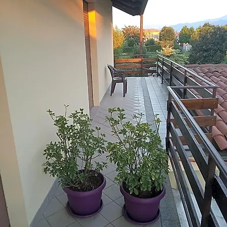 Mezzaluna *